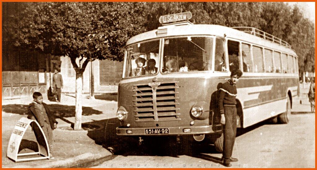 39-SIG-MILOUD CAR TRANSP-04_P4.jpg